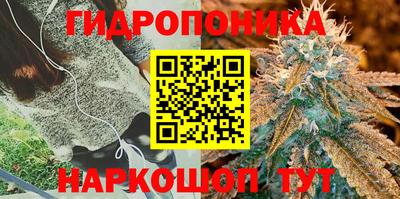 дурь Моздок