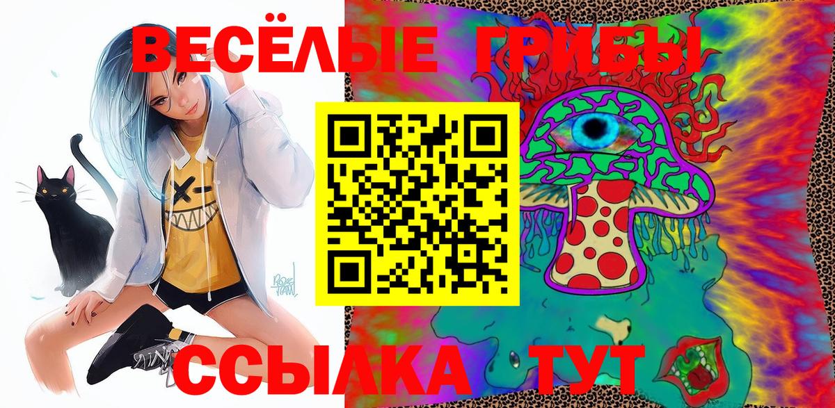 Боровичи  Галлюциногенные грибы ЛСД  Вход с VPN 