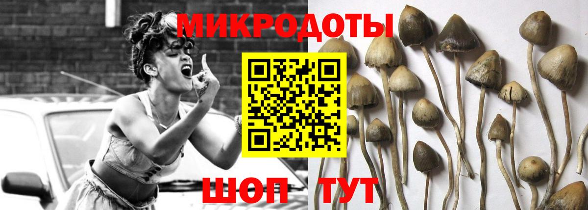 Псилоцибиновые грибы мицелий Боровичи